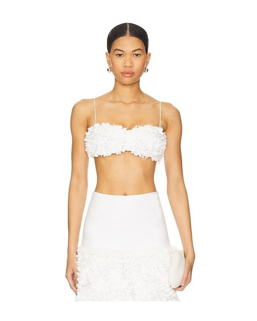 Alexis Risi トップ White
