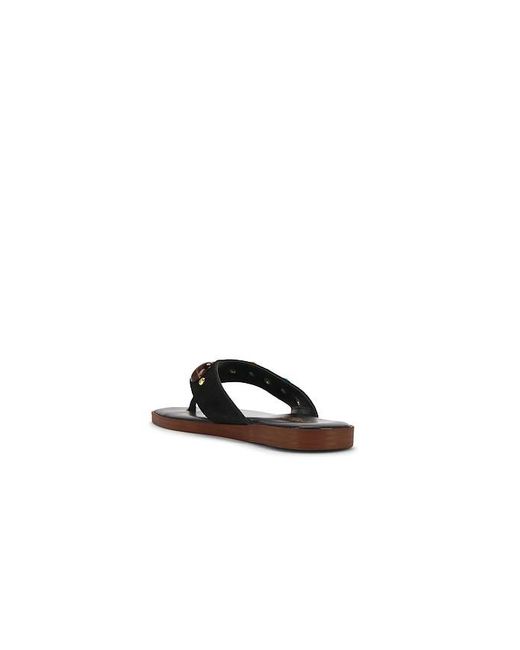 Seychelles Multicolor Top Of The World Sandal