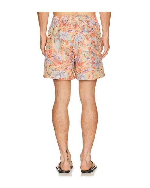 Bather Red Macaw Jungle Swim Trunk for men