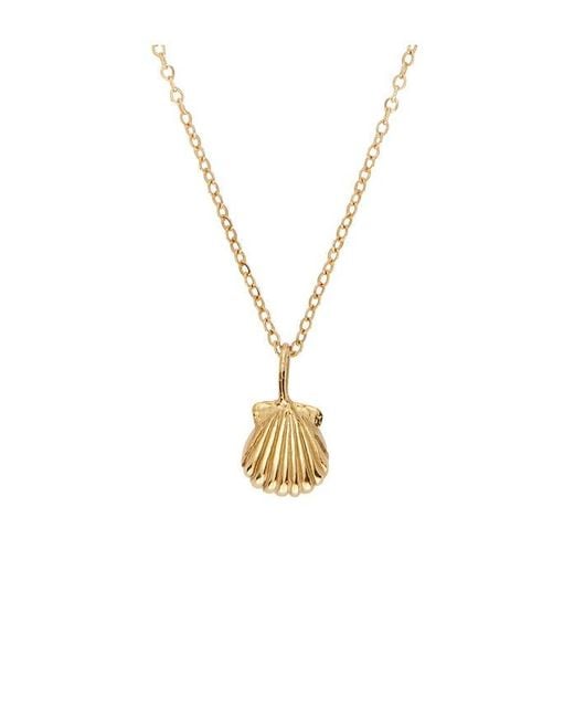 Studio Conchita White Conchita Necklace