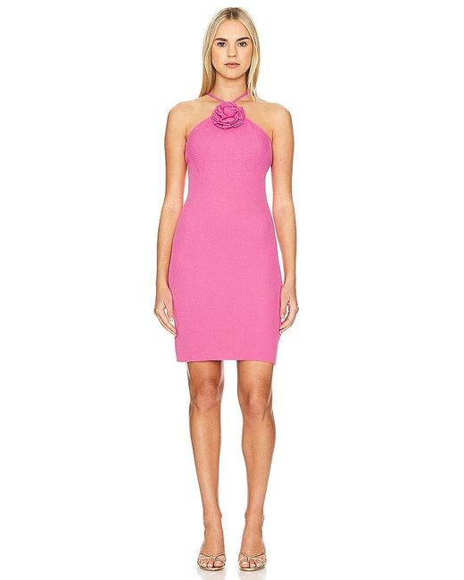 Lamarque Pink Savina Dress