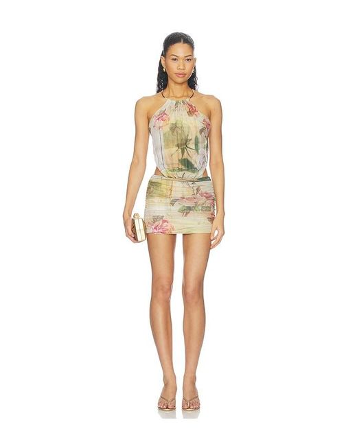 Tiger Mist Multicolor Evanna Mini Dress