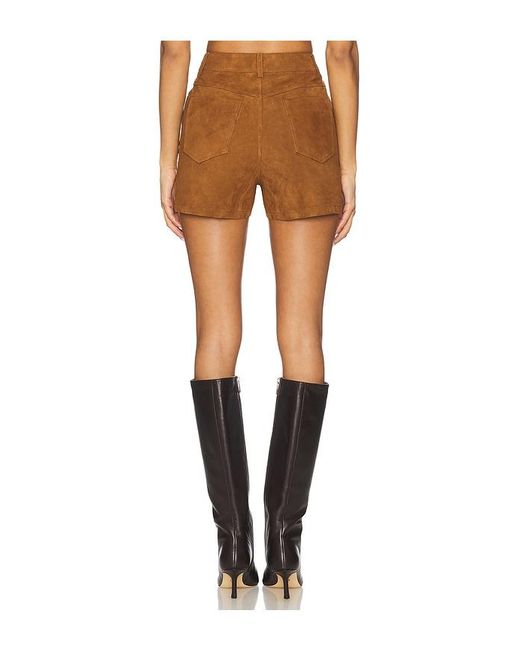 Cami NYC Multicolor Travis Suede Short
