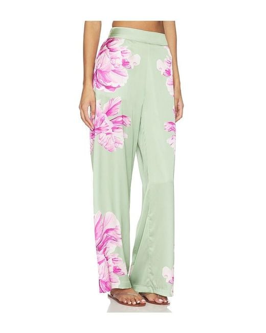 MISA Los Angles Multicolor Izzie Pant