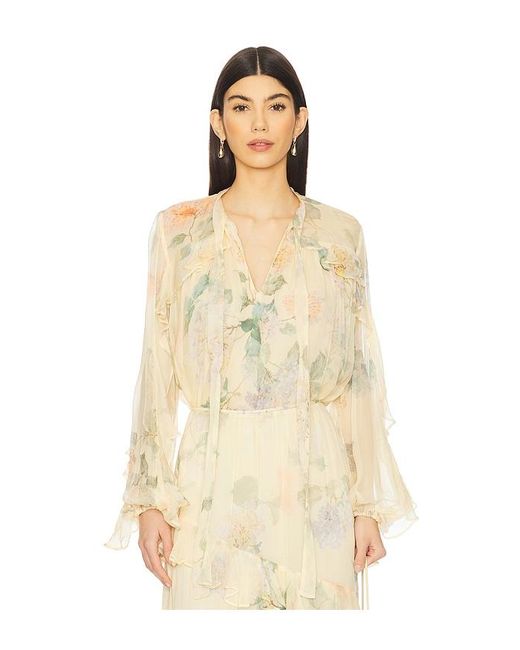 Zimmermann Illuminate Flutter トップ Natural