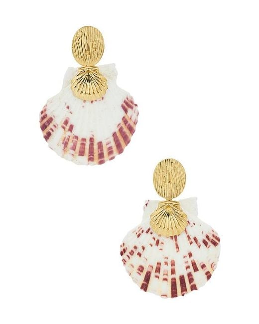 petit moments White Embellished Shell Earrings
