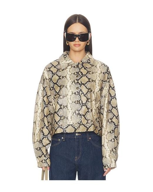 Lioness Blue Angel Jacket