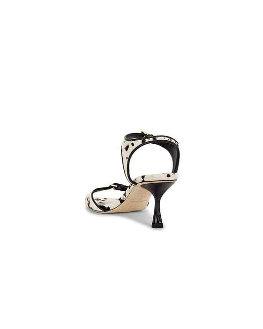 STUDIO AMELIA Multicolor Alto 70 Sandal