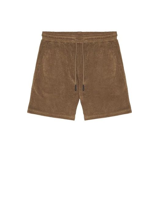 Oas Brown Vibra Shorts for men
