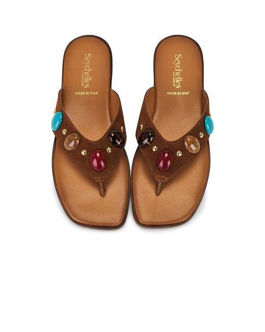 Seychelles Brown Top Of The World Sandal
