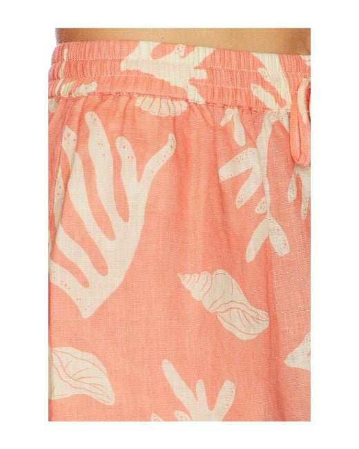 LSPACE Multicolor Rio Short