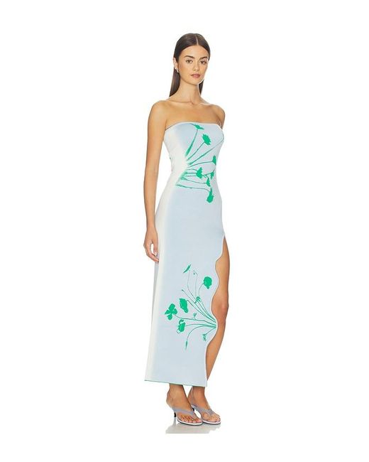 Ph5 Blue Iris Flower Print Maxi Tank Dress