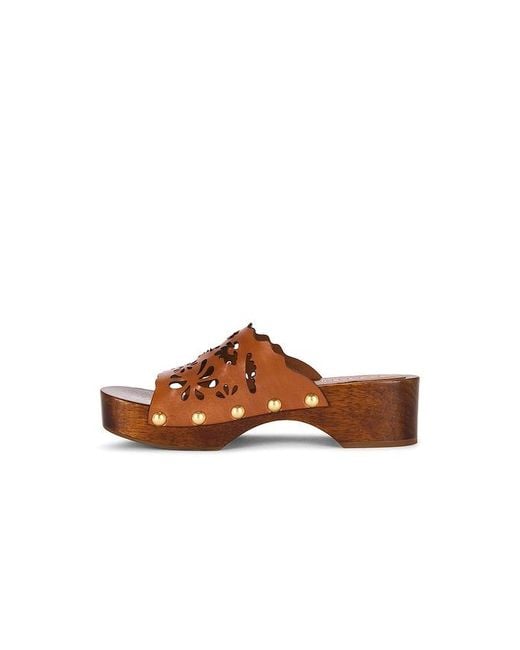 Farm Rio Brown Lace Leather Clog