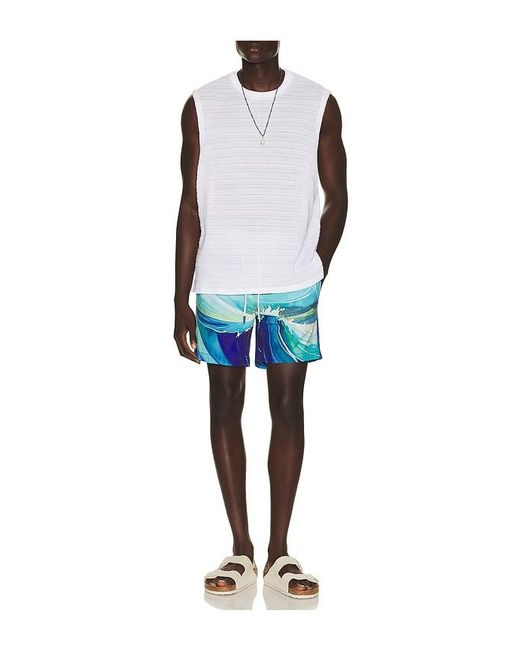 Trunks Surf & Swim Blue Sano 6.5 Swim Short for men