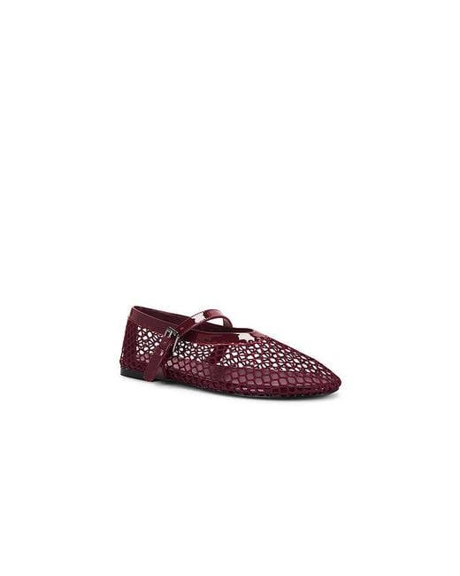 Raye Red Noam Flat