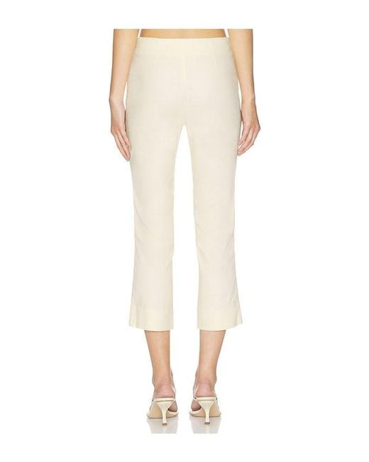 L'academie White 'Academie Marcela Pant
