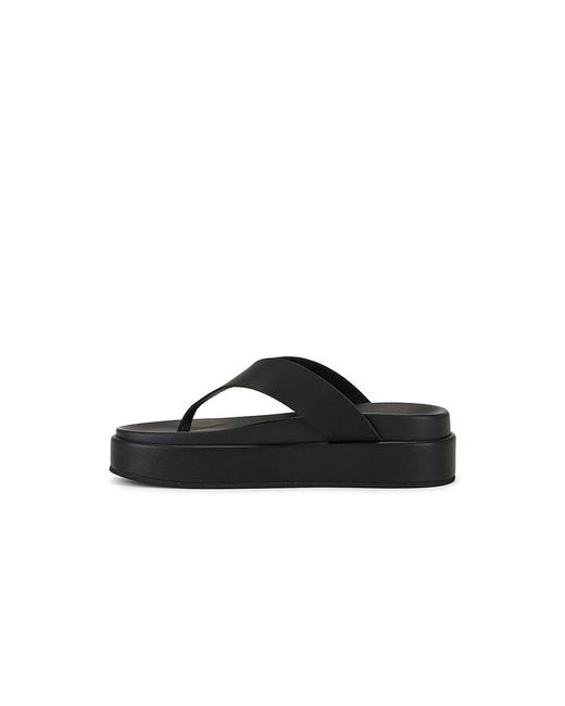 Tony Bianco Black Jetta Sandal