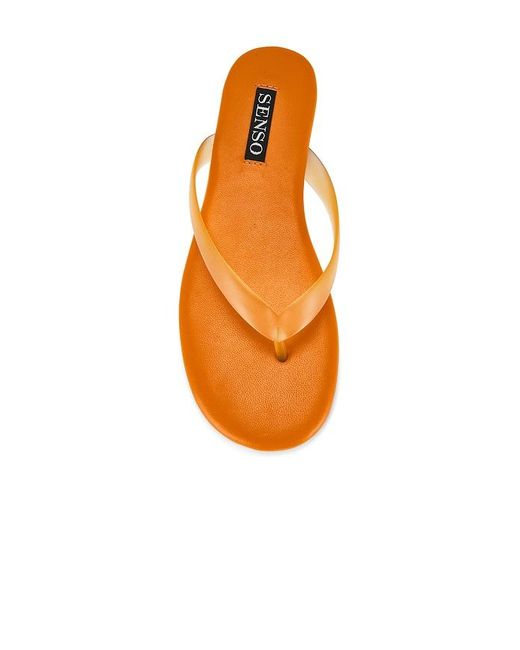 Senso Multicolor Harmony Ii Flip Flop