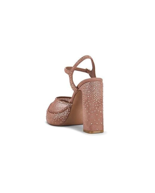 Steve Madden Multicolor Liandra Platform Heels