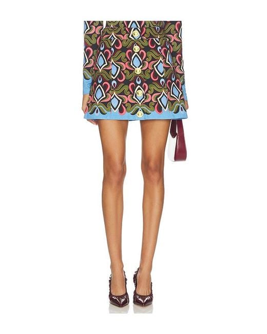 Cara Cara Black Rock Evergreen