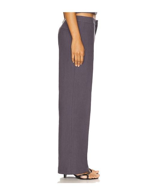 Lioness Blue Hose Elements