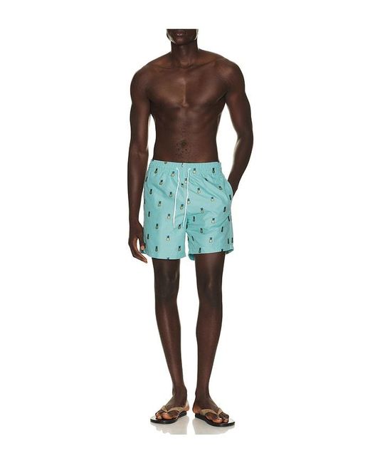 Trunks Surf & Swim Green Sano 6.5 Swim Short for men