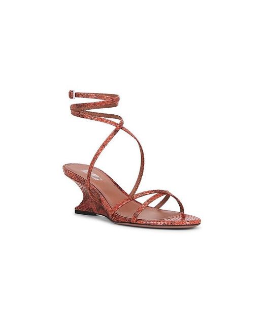 Paris Texas Multicolor Nina Lace Up Sandal 50