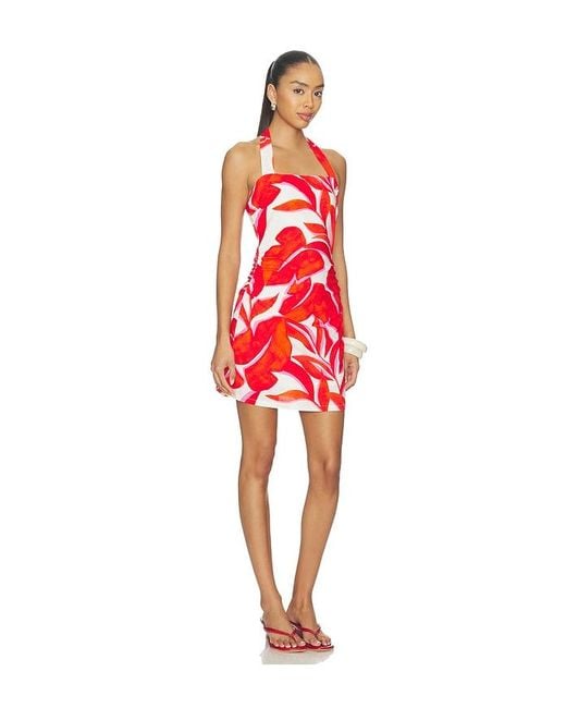 MINKPINK Red Ravelo Halter Mini Dress