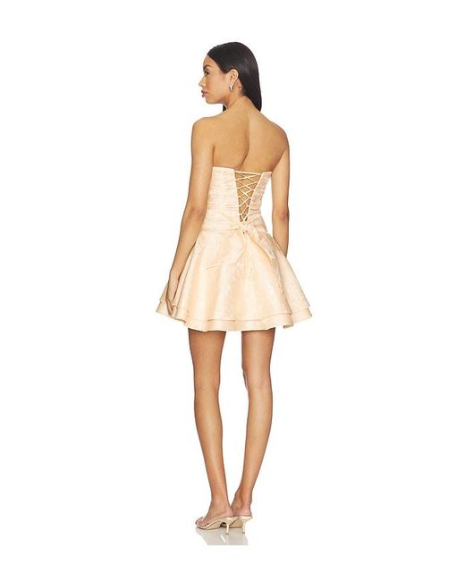 V. Chapman Natural Ellerie Dress