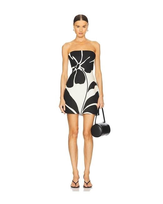 Cala De La Cruz Black Kleid Roma