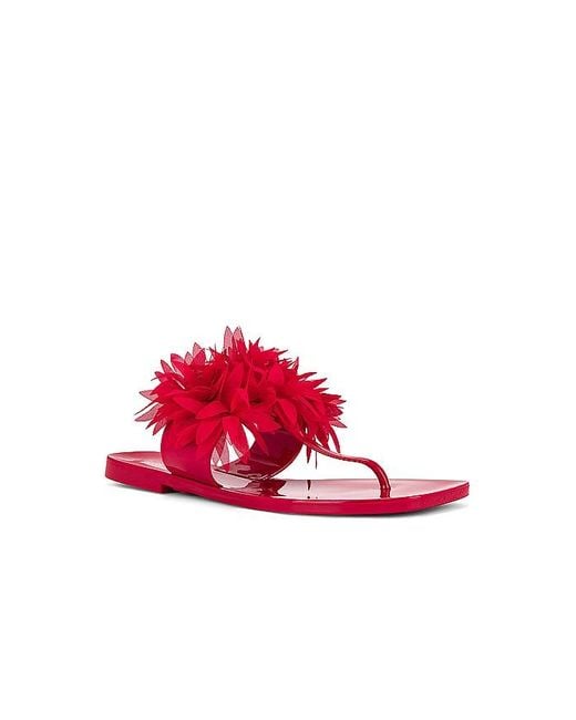 Jeffrey Campbell Red Pollinate Sandal
