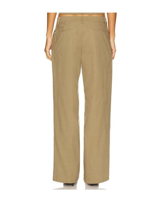 Lioness Natural Hose Elements