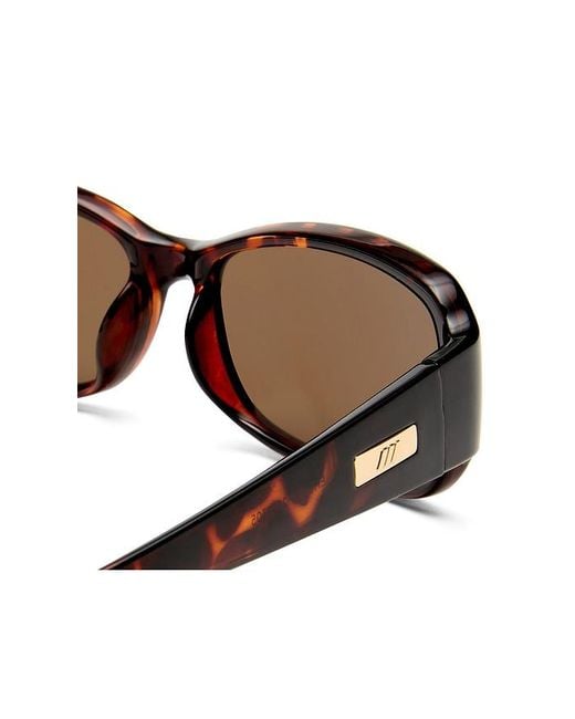 Le Specs Brown Gigglemug Sunglasses