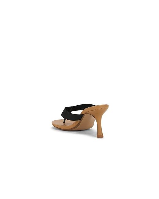 Senso Black Frida Sandal