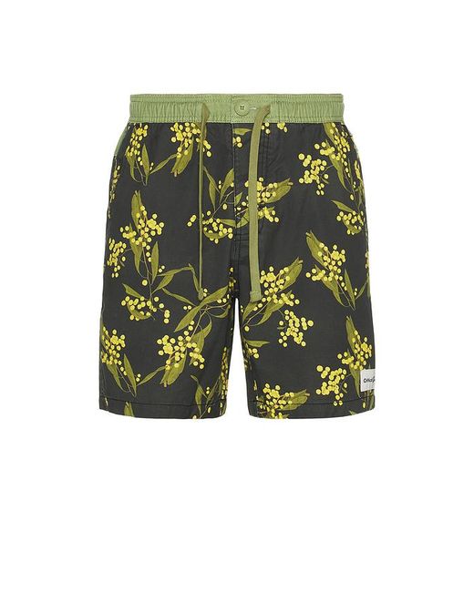 Critical Slide Green Acarcia 17 Swim Trunk for men