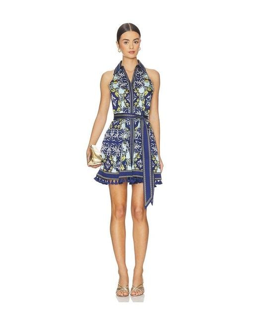 Alice + Olivia Blue Lucy Halter Neck Mini Shirt Dress