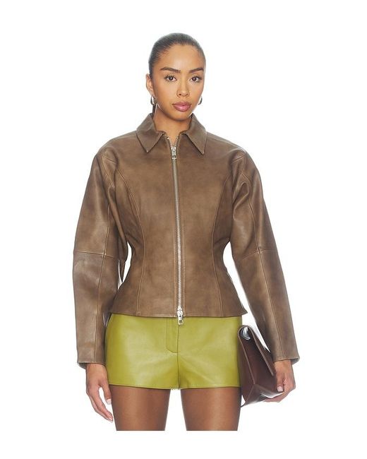 The Sei Multicolor Fitted Leather Jacket