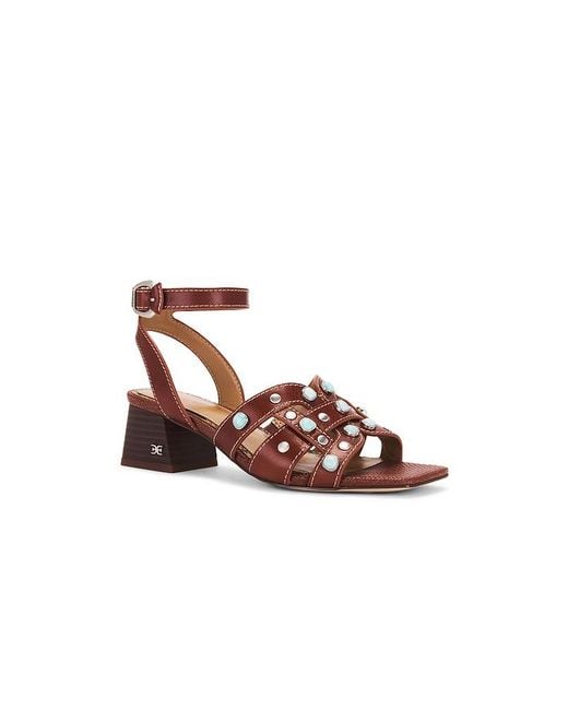 Sam Edelman Brown Wayla 2 Sandal