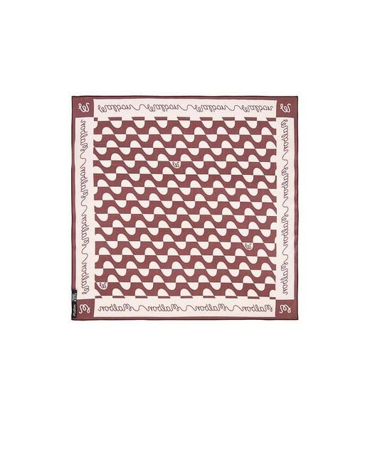 Malbon Multicolor Adanna Scrunchie Scarf