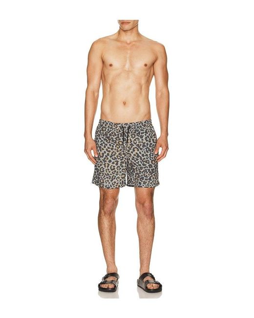AllSaints Black Silesia Swimshort for men