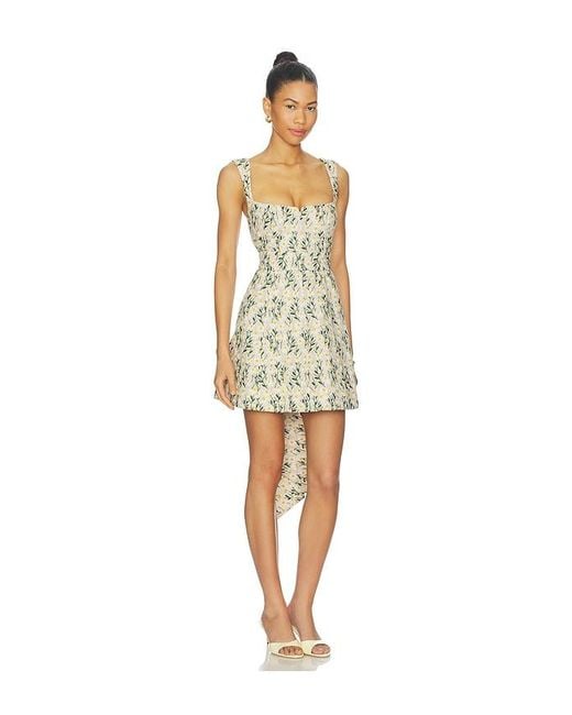 Clea Multicolor Rue Mini Dress