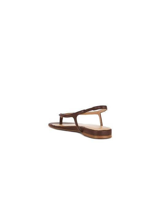 Raye Brown Ayla Sandal