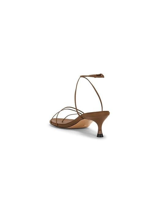 Raye Multicolor Jara Sandal