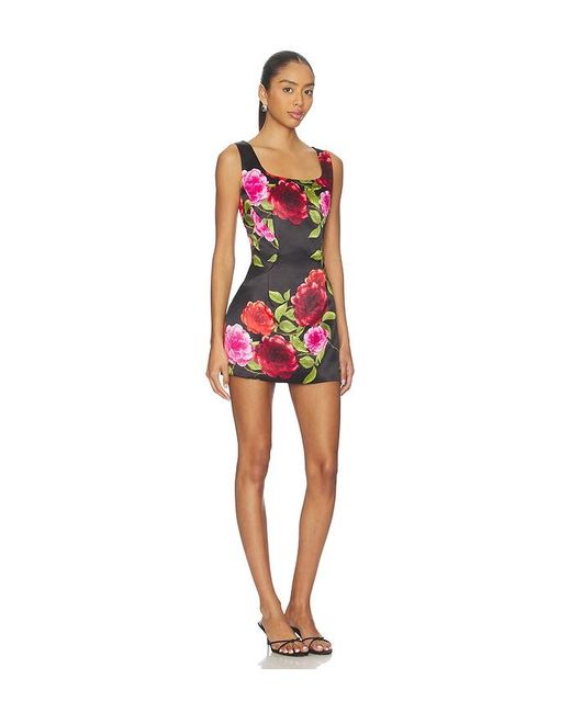 Muma World Red Moschata Vines Eris Mini Dress