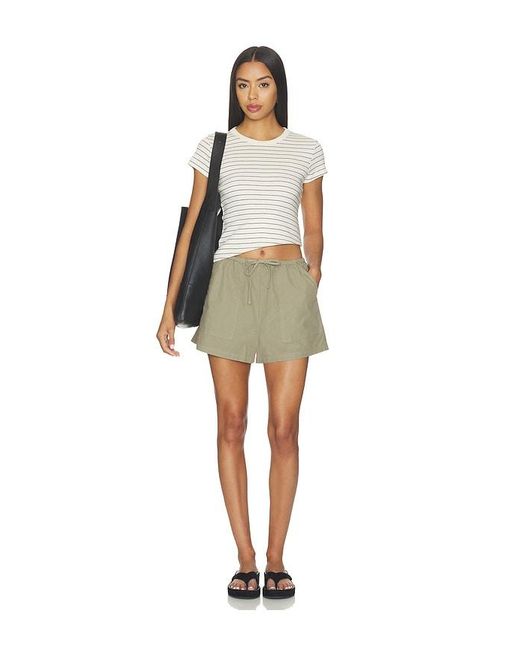 Leset Multicolor Nando Stripe Slim Fit Tee