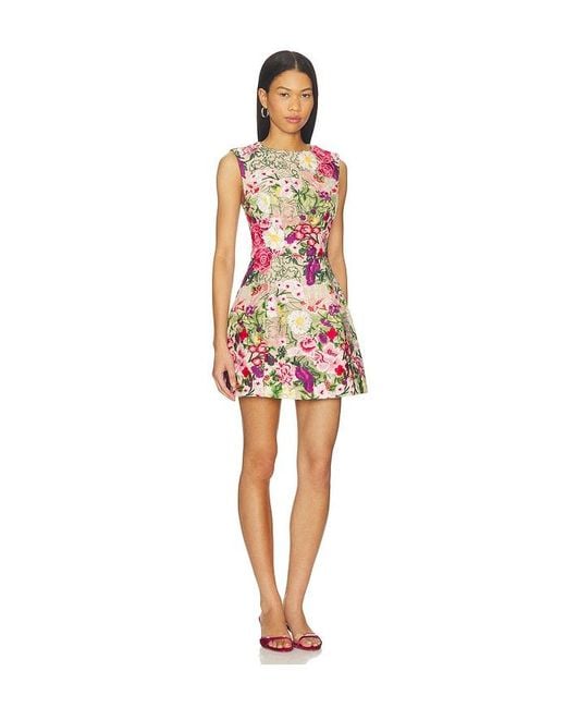 Elliatt Multicolor Flora Mini Dress