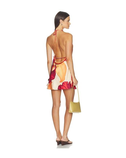 SNDY'S Orange Cattleya Cowl Mini Dress