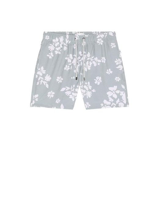 Vintage Summer Blue Seersucker Strech Volley Swim Trunks for men