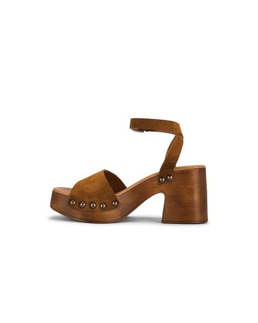 Steve Madden Brown Karsin Sandal