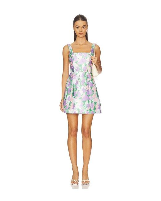 Elliatt Multicolor Lavina Sqaure Neck Mini Dress
